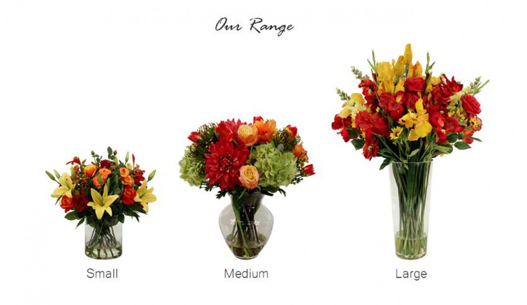 Our Size Range The Flower Company